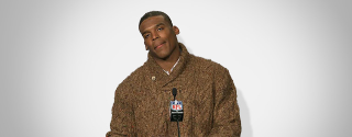 Illustration for article titled Why Your Team Sucks 2013: Carolina Panthers